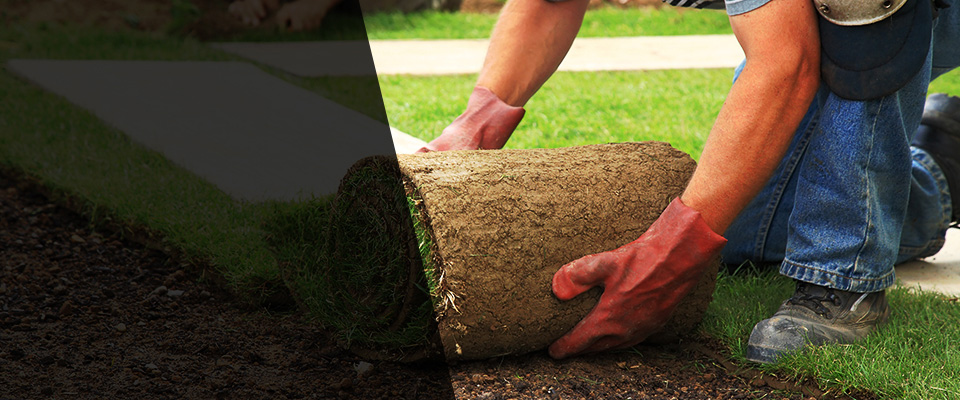 East Rockaway Landscapers